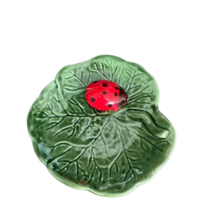Amusebordje met lieveheersbeestje